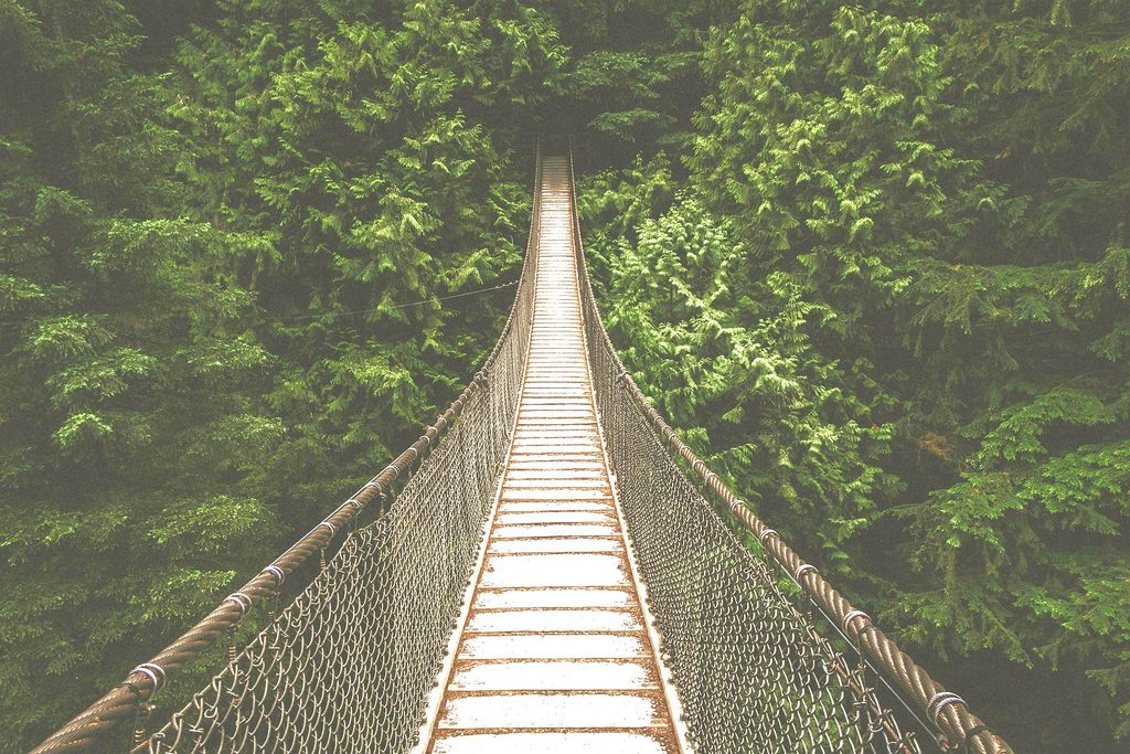 Das Bild zeigt den Anfang einer Hängebrücke über ein bewaldetes Tal